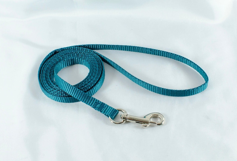 3/8" Cat, Rabbit, Ferret, Guinea Pig, Small Pet, Teacup Dog Leashes - many colors and lengths image 2