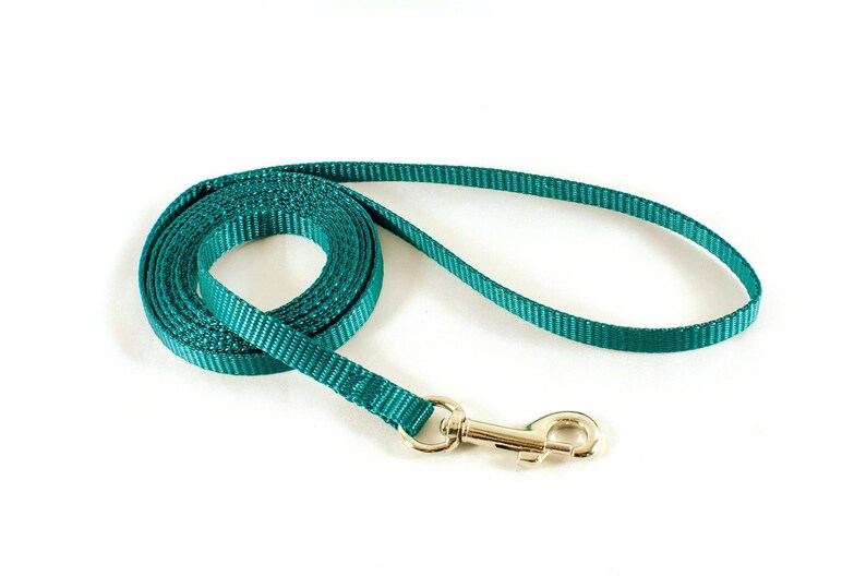 3/8" Cat, Rabbit, Ferret, Guinea Pig, Small Pet, Teacup Dog Leashes - many colors and lengths image 4
