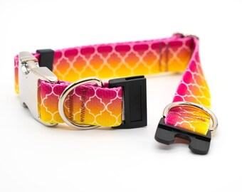 BREAKAWAY Personalized "Fruity Ombre" Dog Collar - safety collar, bright, geometric, colorful