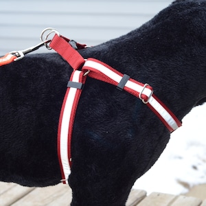 REFLECTIVE Step-In Dog Harness many colors image 1