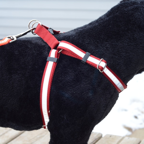 REFLECTIVE Step-In Dog Harness - many colors