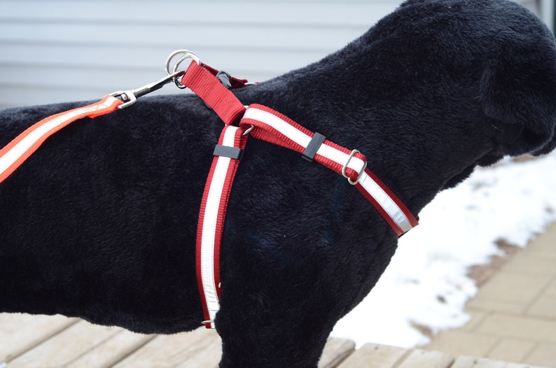 REFLECTIVE Step-In Dog Harness many colors image 1