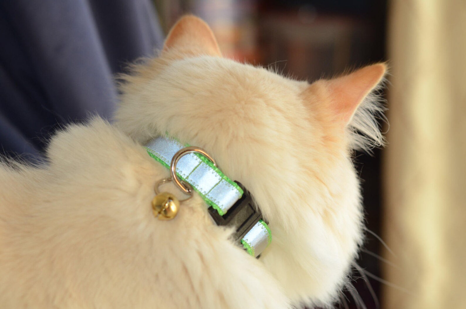 BREAKAWAY Cat Collar Hardware Kit D Rings Buckle Slide Etsy