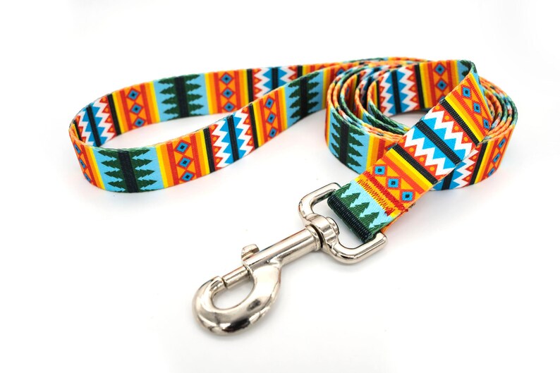 Patterned webbing leashes - 30+ vibrant prints, any length, 4 widths, great for all sizes of dogs imagen 6