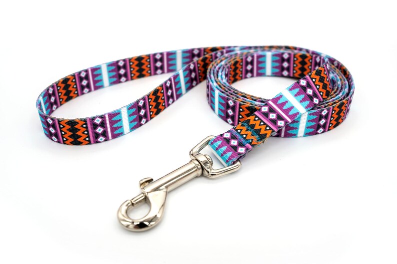 Patterned webbing leashes - 30+ vibrant prints, any length, 4 widths, great for all sizes of dogs imagen 4