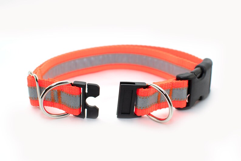 Personalized Breakaway Safety Dog Collar in Reflective Neon / Etsy