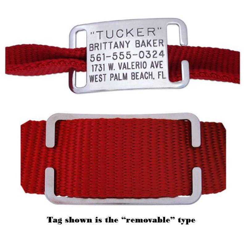 Stainless Steel ID Tag Jingle Free Pet Tag Etsy