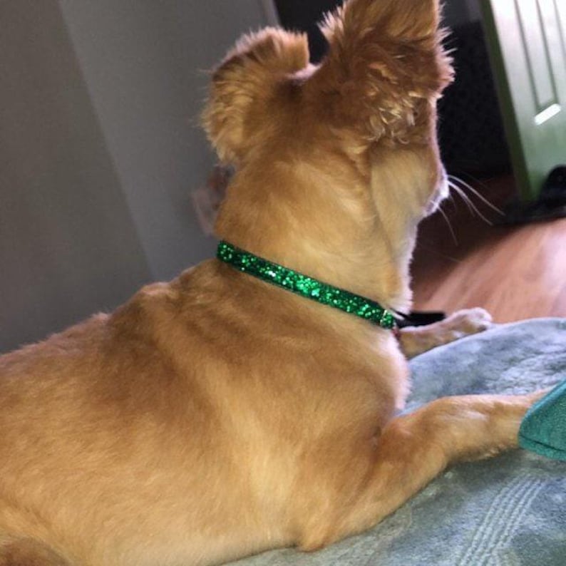 Sparkle Bling Tiny Dog Collar - MADE to ORDER image 5