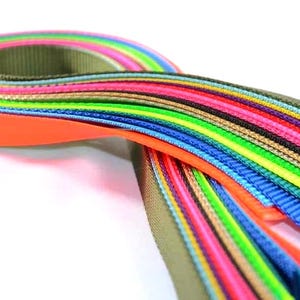 May include: A collection of flat nylon webbing straps arranged in a circular coil. The straps feature a variety of vibrant colors including neon green, bright orange, royal blue, hot pink, yellow, purple, black, and olive drab with a textured weave.