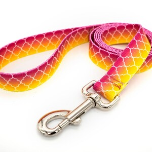 Patterned webbing leashes - 30+ vibrant prints, any length, 4 widths, great for all sizes of dogs imagen 7