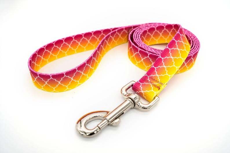 Patterned webbing leashes - 30+ vibrant prints, any length, 4 widths, great for all sizes of dogs imagen 7