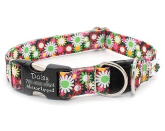 BREAKAWAY Personalized Daisy Fields Dog Collar - safety collar, goats, floral, bright flowers, cute