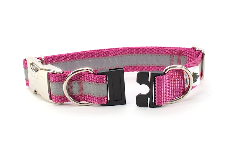 personalized breakaway collar