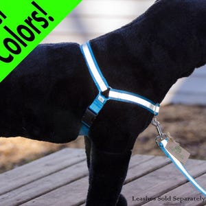 Reflective No-Pull Harness - 20 colors | FREE buckle personalization!