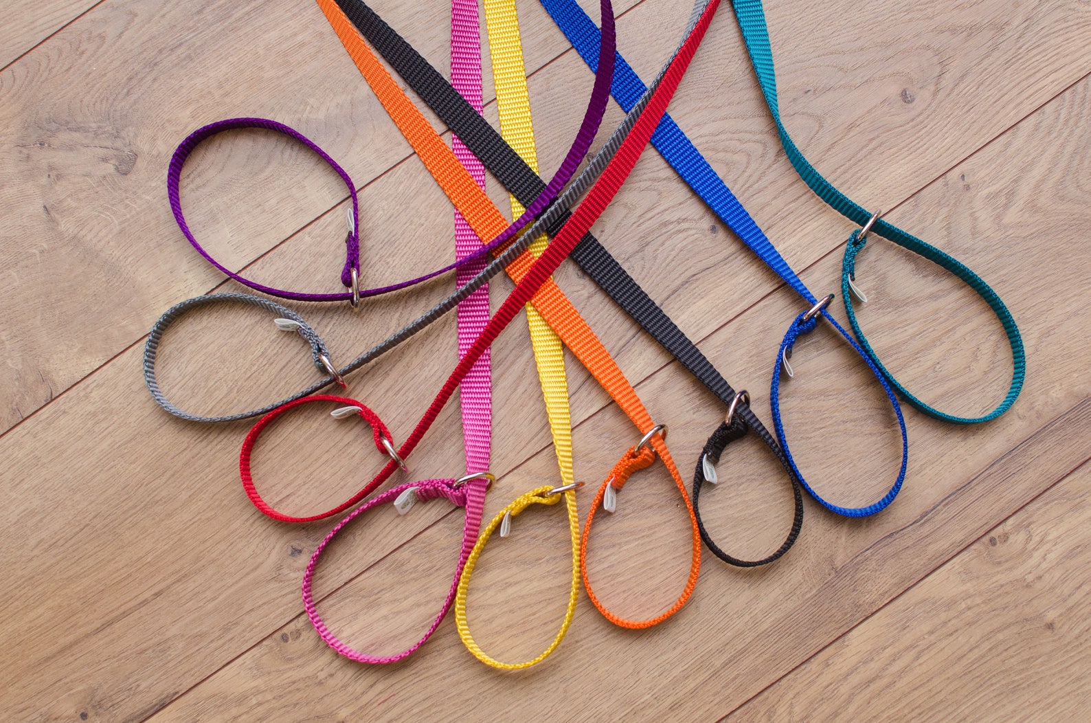 Slip Lead Slip Leashes Kennel Lead Show Lead Collar Leash Etsy