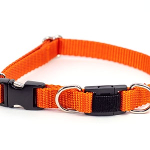 Personalized BREAKAWAY Safety Dog Collar in Pumpkin Orange, Burnt Orange, Tagless, CNC Engraved Aluminum ID Buckle