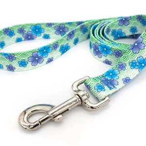Patterned webbing leashes - 30+ vibrant prints, any length, 4 widths, great for all sizes of dogs imagen 8