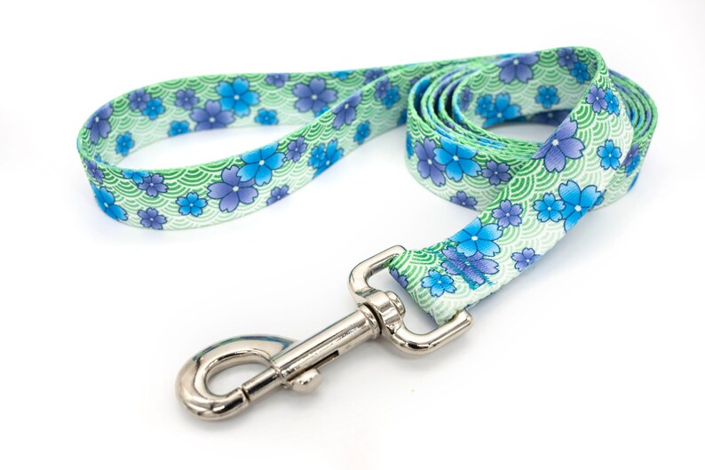 Patterned webbing leashes - 30+ vibrant prints, any length, 4 widths, great for all sizes of dogs imagen 8
