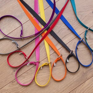 May include: A collection of nine nylon slip leads in various vibrant colors including purple, gray, red, pink, yellow, orange, black, blue, and teal. Each lead features a woven texture, a circular loop for the neck, and a silver metal ring.