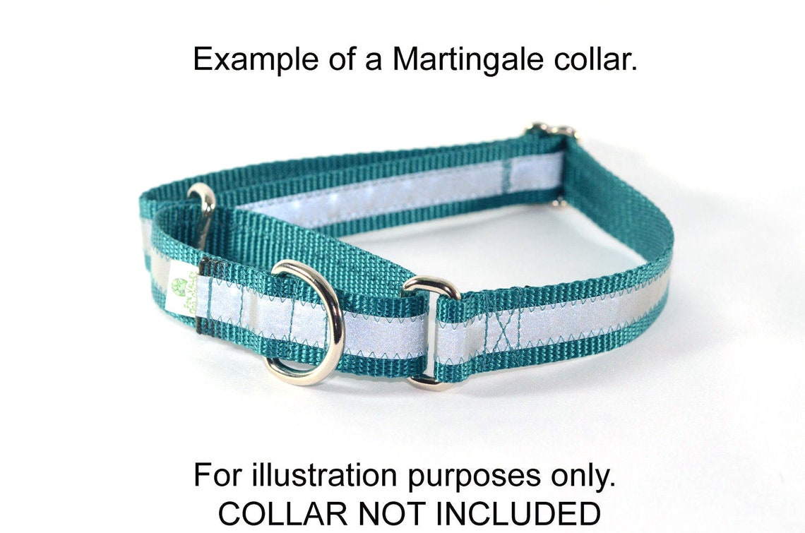 Martingale Dog Collar Hardware Kit D Rings Slides Etsy