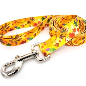 Patterned webbing leashes - 30+ vibrant prints, any length, 4 widths, great for all sizes of dogs imagen 9