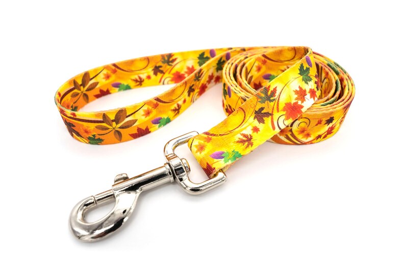 Patterned webbing leashes - 30+ vibrant prints, any length, 4 widths, great for all sizes of dogs imagen 9