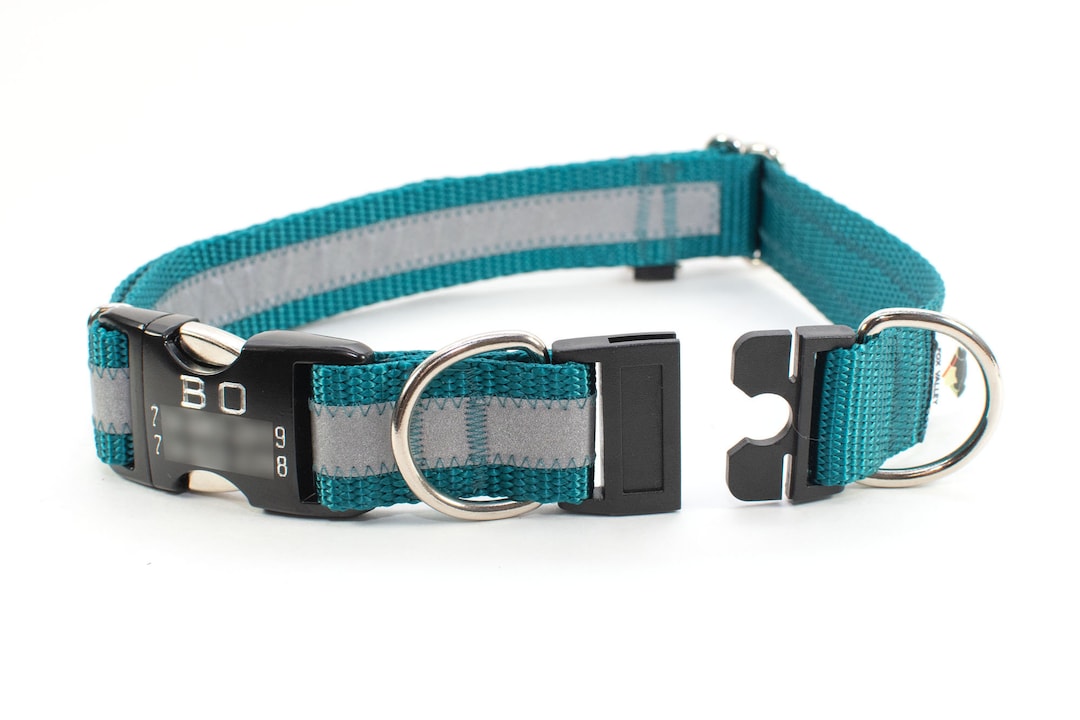 Teal blue hotsell dog collar