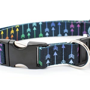 BREAKAWAY Personalized Rainbow Arrows Dog Collar - safety collar, goats, pigs, sheep, archer, colorful, gender neutral