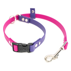 May include: A two-tone dog collar and leash set. The collar is pink and purple with a black buckle. The leash is pink with a silver-colored metal clasp. The set is made of a flexible, waterproof material.