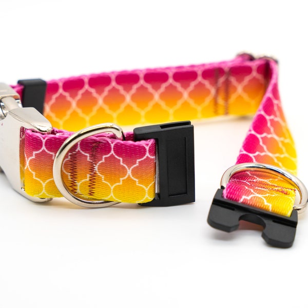 BREAKAWAY Personalized "Fruity Ombre" Dog Collar - safety collar, bright, geometric, colorful