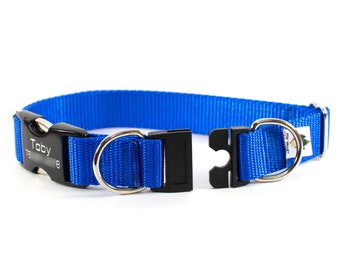 petsafe daycare collar