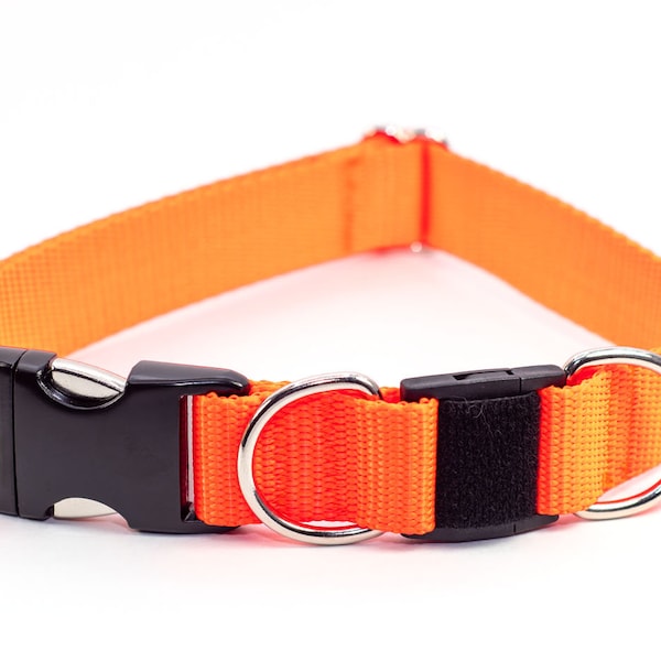 Personalized BREAKAWAY Safety Dog Collar in Neon Orange, Blaze, Hunter, High Vis, Tagless, CNC Engraved Aluminum ID Buckle