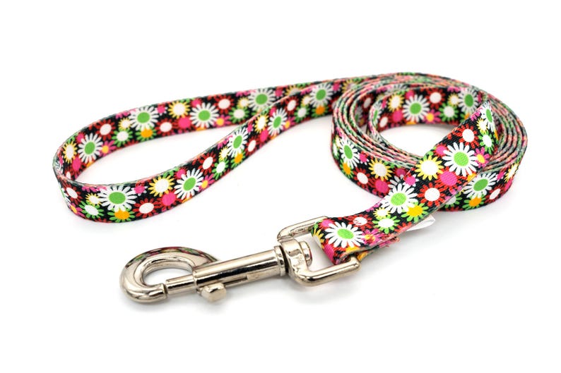 Patterned webbing leashes - 30+ vibrant prints, any length, 4 widths, great for all sizes of dogs imagen 5
