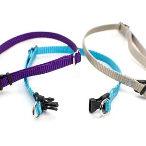 May include: Three adjustable pet collars in purple, bright blue, and light beige. Each collar is made of woven nylon webbing and features a black plastic side-release buckle, a metal D-ring for leash attachment, and a sliding plastic adjuster.