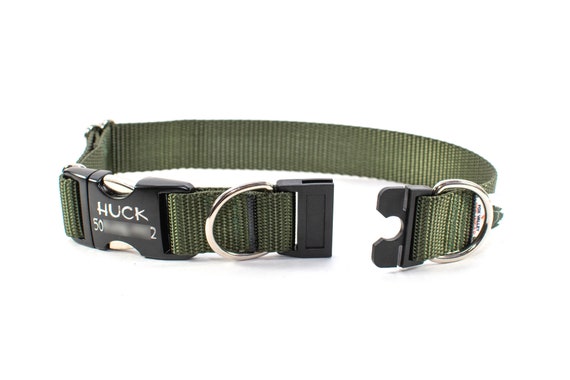 Breakaway 2025 puppy collar