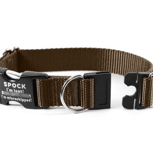 May include: Brown dog collar with a black buckle and a metal D-ring. The buckle has the text "SPOCK I'm lost! I'm microchipped!" The collar is unfastened, showing the two parts of the buckle.