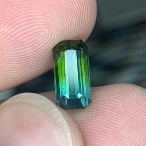 Bi color Tourmaline