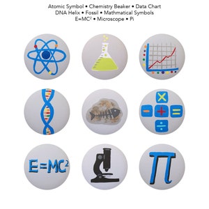 Może przedstawiać: Dziewięć pomalowanych okrągłych białych kamieni z różnymi obrazami związanymi z nauką. Obrazy obejmują atom, zlewka, wykres, helisę DNA, skamielinę, symbole matematyczne, równanie E=MC², mikroskop i symbol pi.