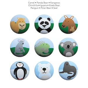 Könnte beinhalten: Neun bunte runde Knöpfe mit gemalten Bildern von verschiedenen Tieren. Die Tiere sind ein Kamel, ein Pandabär, ein Känguru, ein Chinchilla, ein Leguan, ein Koalabär, ein Pinguin, ein Eisbär und eine Robbe.