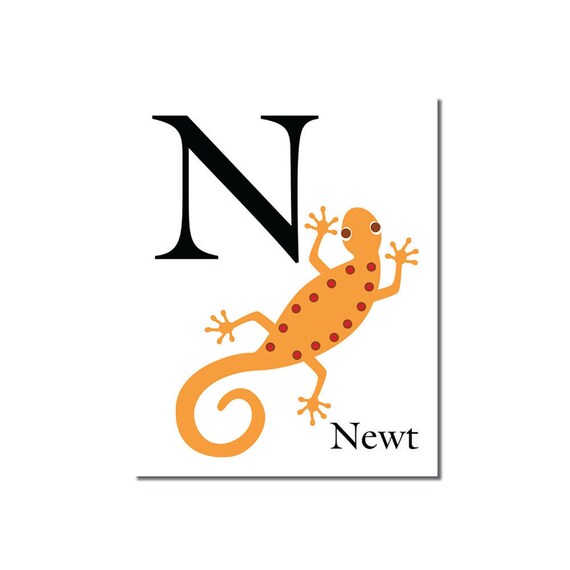 S A L E N Is For Newt The Letter N ABC Alphabet Art Etsy