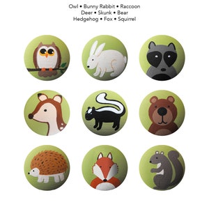 Pode incluir: Nove personagens de animais ilustrados em círculos verdes. Os animais são uma coruja, um coelho, um guaxinim, um veado, um gambá, um urso, um ouriço, uma raposa e um esquilo. O texto acima dos círculos diz "Owl • Bunny Rabbit • Raccoon Deer • Skunk • Bear Hedgehog • Fox • Squirrel".