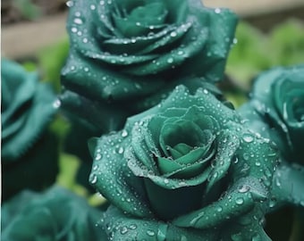20pcs Scottish Green Rose Seeds - Non-GMO Heirloom Variety for Your Garden