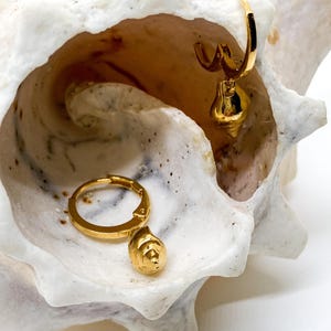 Könnte beinhalten: Ein Paar goldene Creolen mit einem kleinen, runden Anhänger, der an jeder Creole hängt. Die Ohrringe werden auf einer weißen Muschel präsentiert.