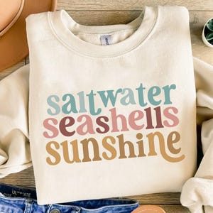 May include: Cream-colored sweatshirt with the words "saltwater seashells sunshine" in teal, pink, brown, and tan. The sweatshirt is folded, with a hat and jeans visible in the background. A small potted succulent is in the upper right corner.