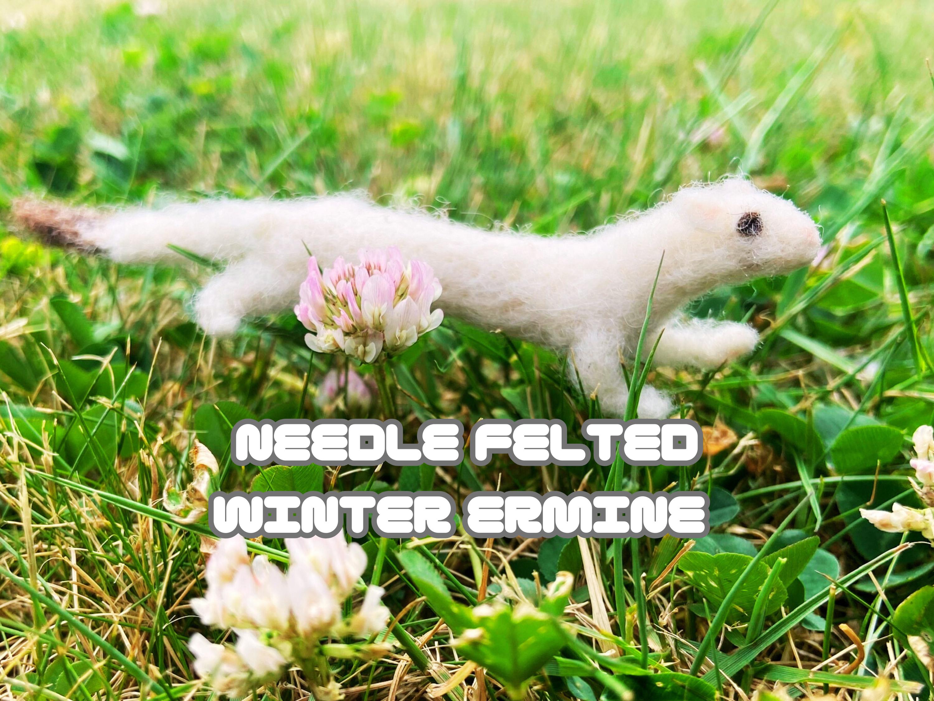 Weasel Family Critters In Ferret Book: Getting Started With Pet