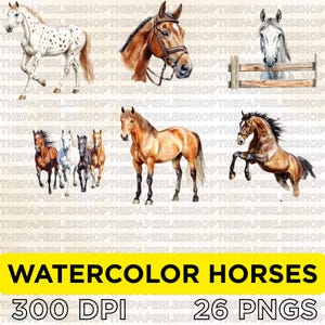 Watercolor Horse PNG Bundle | Realistic Farm Animal Clipart | Brown, White, Spotted Horse Illustrations | Digital Download for Sublimation
