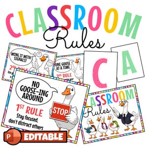 Könnte beinhalten: Bunte Klassenzimmer-Regelposter mit Cartoon-Gänsen. Die Poster enthalten Sätze wie „No Goose-ing Around“ und „Wing it with Signals!“ mit dem Wort „EDITABLE“ unten. Das Wort „CLASSROOM Rules“ steht oben.