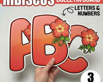 Spring Bulletin Board Ideas | Hibiscus Letters & Numbers | Mother's Day Decor