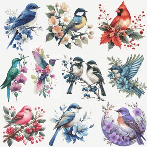 Puede incluir: Una colección de ilustraciones en acuarela que presentan varios pájaros posados en ramas con flores y bayas. Las aves muestran una gama de colores, incluyendo azul, rojo, rosa y verde, con patrones de plumas detallados y acentos florales.