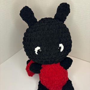 Lucy the Lady Bug